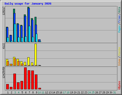 Daily usage for January 2026
