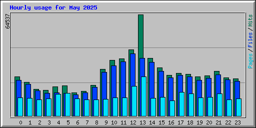 Hourly usage for May 2025