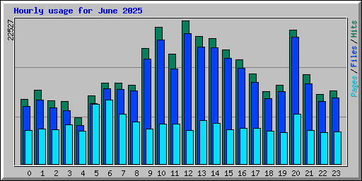 Hourly usage for June 2025