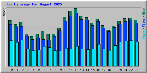 Hourly usage for August 2025