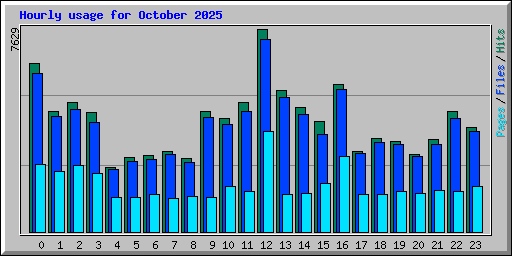 Hourly usage for October 2025