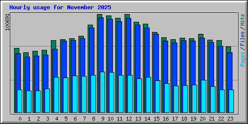 Hourly usage for November 2025
