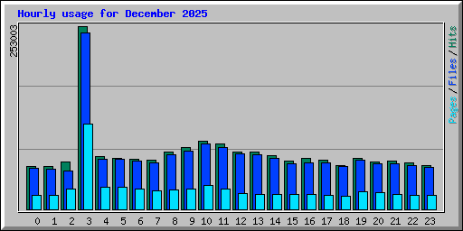 Hourly usage for December 2025