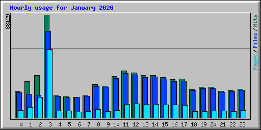 Hourly usage for January 2026