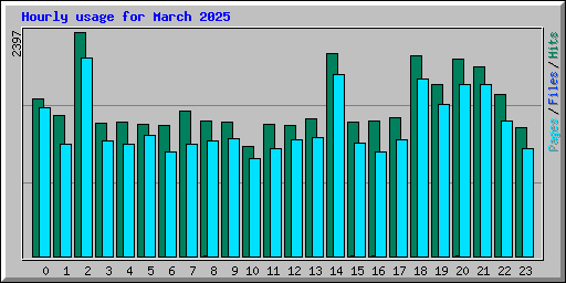 Hourly usage for March 2025