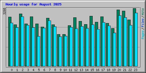 Hourly usage for August 2025