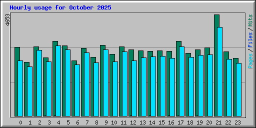 Hourly usage for October 2025