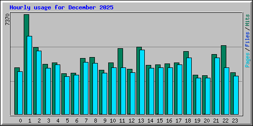 Hourly usage for December 2025