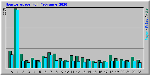 Hourly usage for February 2026