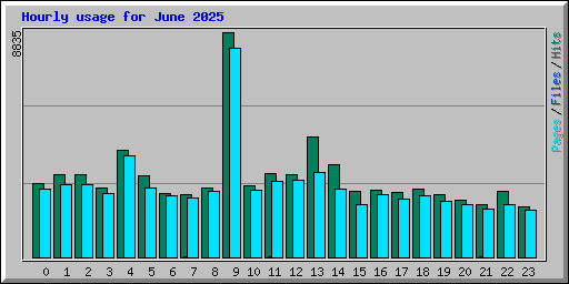 Hourly usage for June 2025