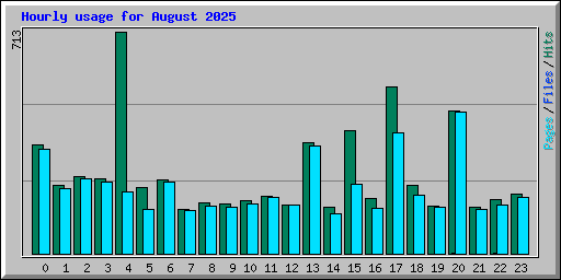 Hourly usage for August 2025