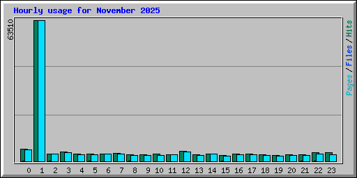 Hourly usage for November 2025