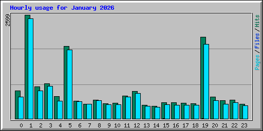 Hourly usage for January 2026